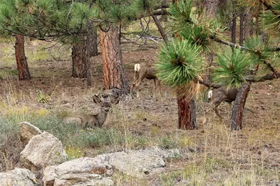 32187 Sylvan Road, Golden, CO 80403 - Photo 24