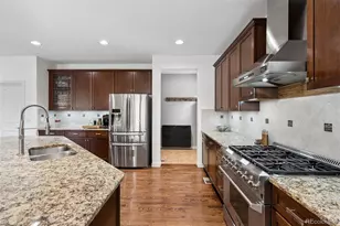 530 Moonmist Ct, Highlands Ranch, CO 80126 - Photo 10