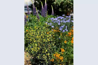 3630 N Fillmore Street, Denver, CO 80205 - Photo 36