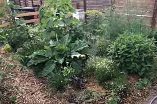 3630 N Fillmore St, Denver, CO 80205 - Photo 32