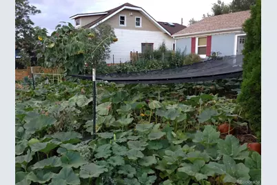 3630 N Fillmore Street, Denver, CO 80205 - Photo 48