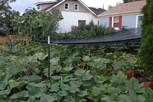 3630 N Fillmore St, Denver, CO 80205 - Photo 48