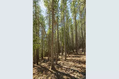 0 Spruce Way, Nederland, CO 80466 - Photo 12