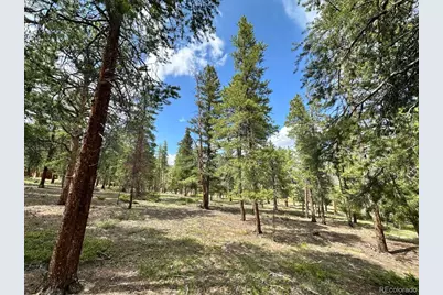 30385 National Forest Drive, Buena Vista, CO 81211 - Photo 4