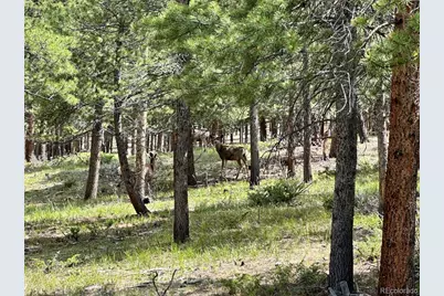 30385 National Forest Drive, Buena Vista, CO 81211 - Photo 6