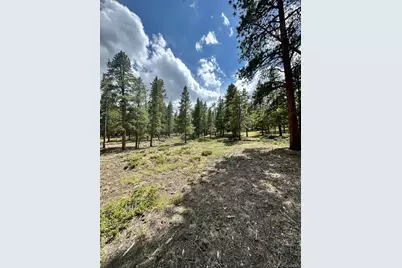 30385 National Forest Drive, Buena Vista, CO 81211 - Photo 12