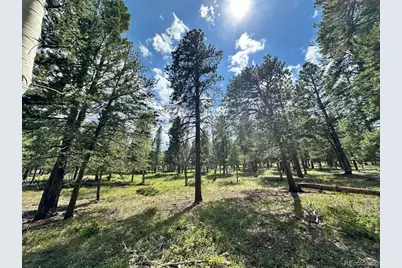 30385 National Forest Drive, Buena Vista, CO 81211 - Photo 14
