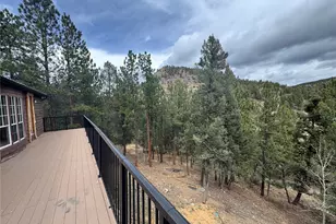 1534 Roland Dr, Bailey, CO 80421 - Photo 22