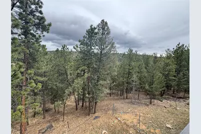 1534 Roland Drive, Bailey, CO 80421 - Photo 24