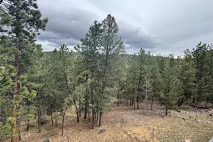 1534 Roland Dr, Bailey, CO 80421 - Photo 24