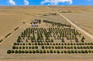 20402 Co Rd 2, Rush, CO 80833 - Photo 38