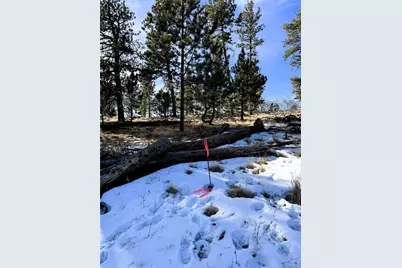 620 Wagon Wheel Road, Hartsel, CO 80449 - Photo 8