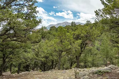 30177 Princeton Hills, Buena Vista, CO 81211 - Photo 50