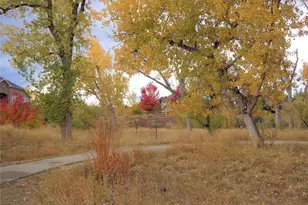 5818 S Urban Way, Littleton, CO 80127 - Photo 46