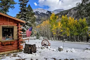 22585 Co Rd 292, Nathrop, CO 81236 - Photo 38