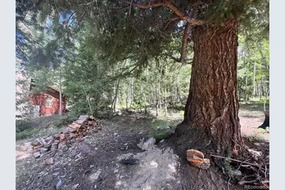 22585 County Road 292, Nathrop, CO 81236 - Photo 32