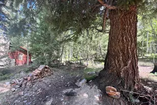 22585 Co Rd 292, Nathrop, CO 81236 - Photo 32