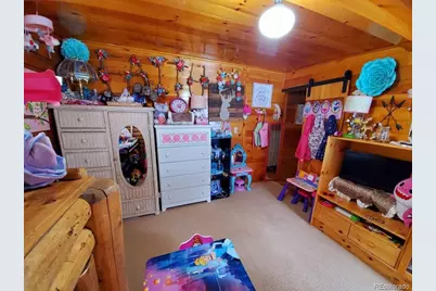 22585 County Road 292, Nathrop, CO 81236 - Photo 30