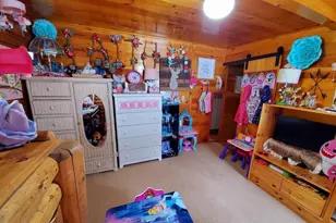 22585 Co Rd 292, Nathrop, CO 81236 - Photo 30