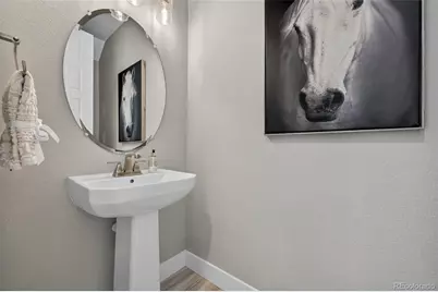 2597 Channel Drive, Highlands Ranch, CO 80129 - Photo 20