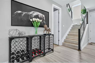 2597 Channel Drive, Highlands Ranch, CO 80129 - Photo 22