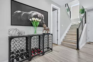 2597 Channel Dr, Highlands Ranch, CO 80129 - Photo 22