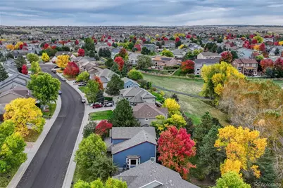 11617 Pine Grove Lane, Parker, CO 80138 - Photo 46