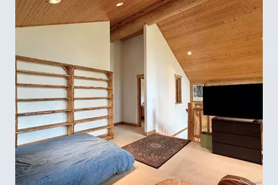 834 Lodge Pole Drive, Leadville, CO 80461 - Photo 22