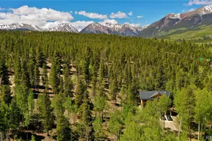 834 Lodgepole Dr, Leadville, CO 80461 - Photo 4