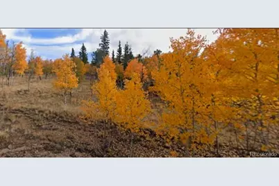 75 Antler Ridge Road, Como, CO 80456 - Photo 4