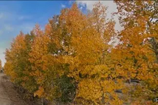 75 Antler Ridge Rd, Como, CO 80456 - Photo 1