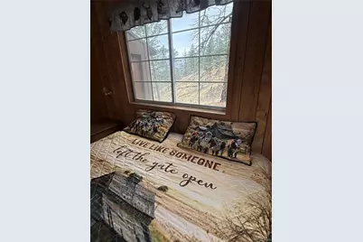 1049 Spencer Mountain Road, Bellvue, CO 80512 - Photo 10