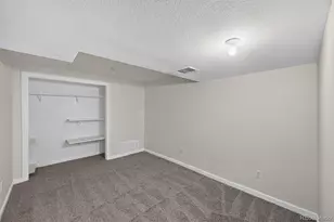 5288 Fairplay St, Denver, CO 80239 - Photo 22