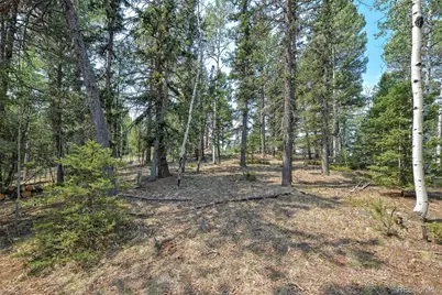 114 Mt Powderhorn Lane, Florissant, CO 80816 - Photo 20