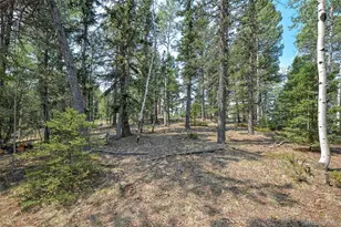 114 Mt Powderhorn Ln, Florissant, CO 80816 - Photo 20