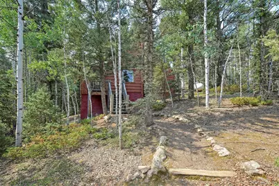 114 Mt Powderhorn Lane, Florissant, CO 80816 - Photo 16