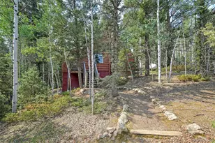 114 Mt Powderhorn Ln, Florissant, CO 80816 - Photo 16
