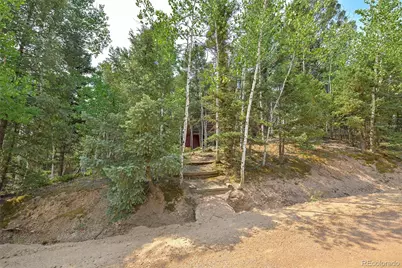 114 Mt Powderhorn Lane, Florissant, CO 80816 - Photo 24