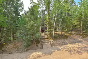 114 Mt Powderhorn Ln, Florissant, CO 80816 - Photo 24