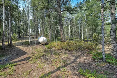 114 Mt Powderhorn Lane, Florissant, CO 80816 - Photo 18