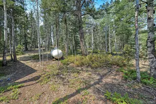 114 Mt Powderhorn Ln, Florissant, CO 80816 - Photo 18