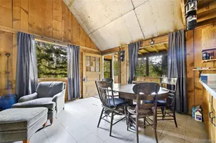114 Mt Powderhorn Ln, Florissant, CO 80816 - Photo 10