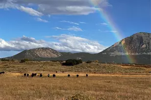 640 County Road 571, Gardner, CO 81040 - Photo 46