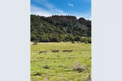 640 County Road 571, Gardner, CO 81040 - Photo 10