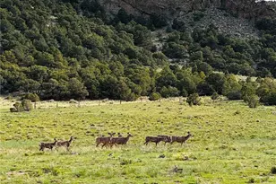 640 County Road 571, Gardner, CO 81040 - Photo 10