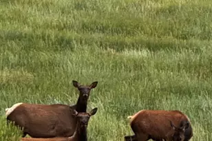 640 County Road 571, Gardner, CO 81040 - Photo 40