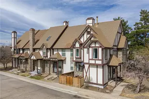 8896 Brompton Way, Parker, CO 80134 - Photo 20