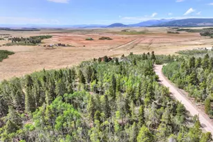 242 Green Bottle Cir, Fairplay, CO 80440 - Photo 1