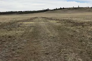 000 Black Beaver Circle, Hartsel, CO 80449 - Photo 6