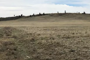 000 Black Beaver Circle, Hartsel, CO 80449 - Photo 2